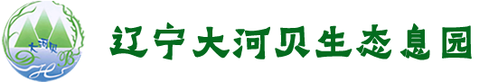 footer-logo