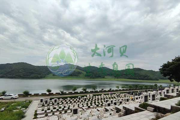 鐵嶺墓園安葬詳細(xì)步驟與注意事項(xiàng)！